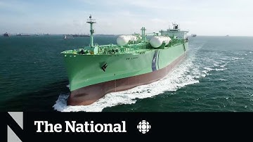 Reshaping the shipping industry for a sustainable future