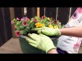 How-To Create A Simple Container Garden