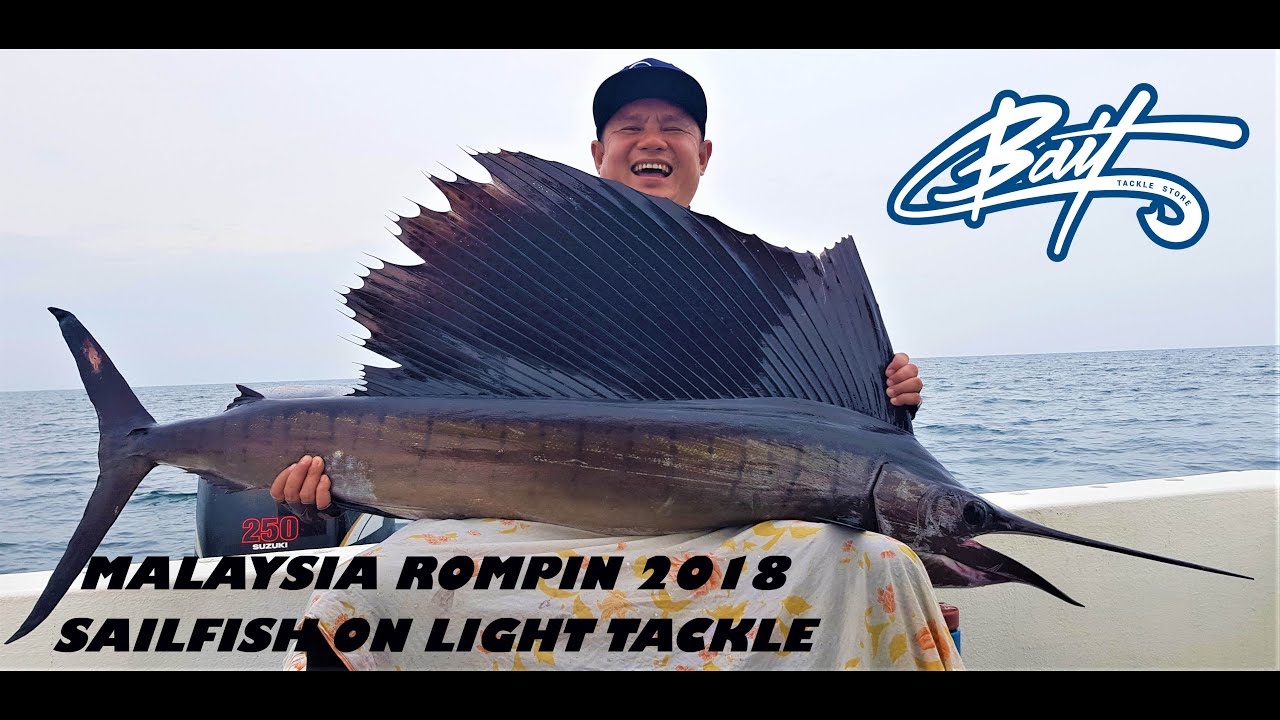 Bait Tackle Store Travels MALAYSIA 2018 ROMPIN SAILFISH on Light