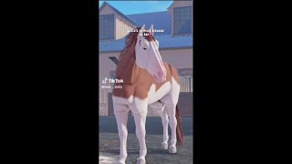 🍂Lake Country Stables🍂 || TikTok Compilation🍁