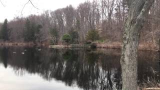 Gone Missing Official Trailer