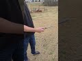 My first live blade, a little hesitant with it #balisongchannel #balisongtricks #balisongflipping