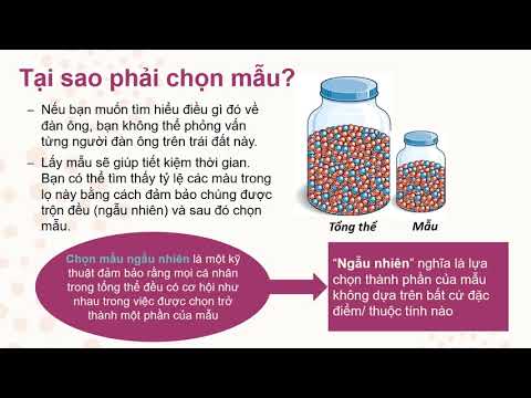 Video: Thử Nghiệm Như Một Phương Pháp Tâm Lý Học