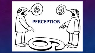 Perception part 2