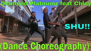 Diamond Platnumz feat Chley - Shu! (Dance Choreography)