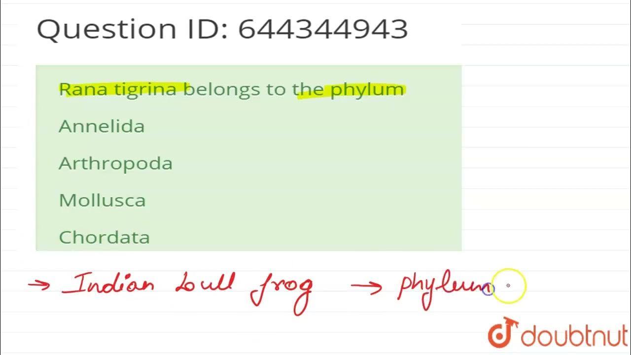 rana-tigrina-belongs-to-the-phylum-12-structural-organisation-in