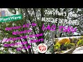 432Hz Relaxation-Merisier Penta mineure de fa#+Lao Tseu-PlantWave-Jardin de Manspach-Fabrice Meyer