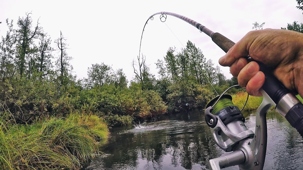 Alaska family, fun, and fishing