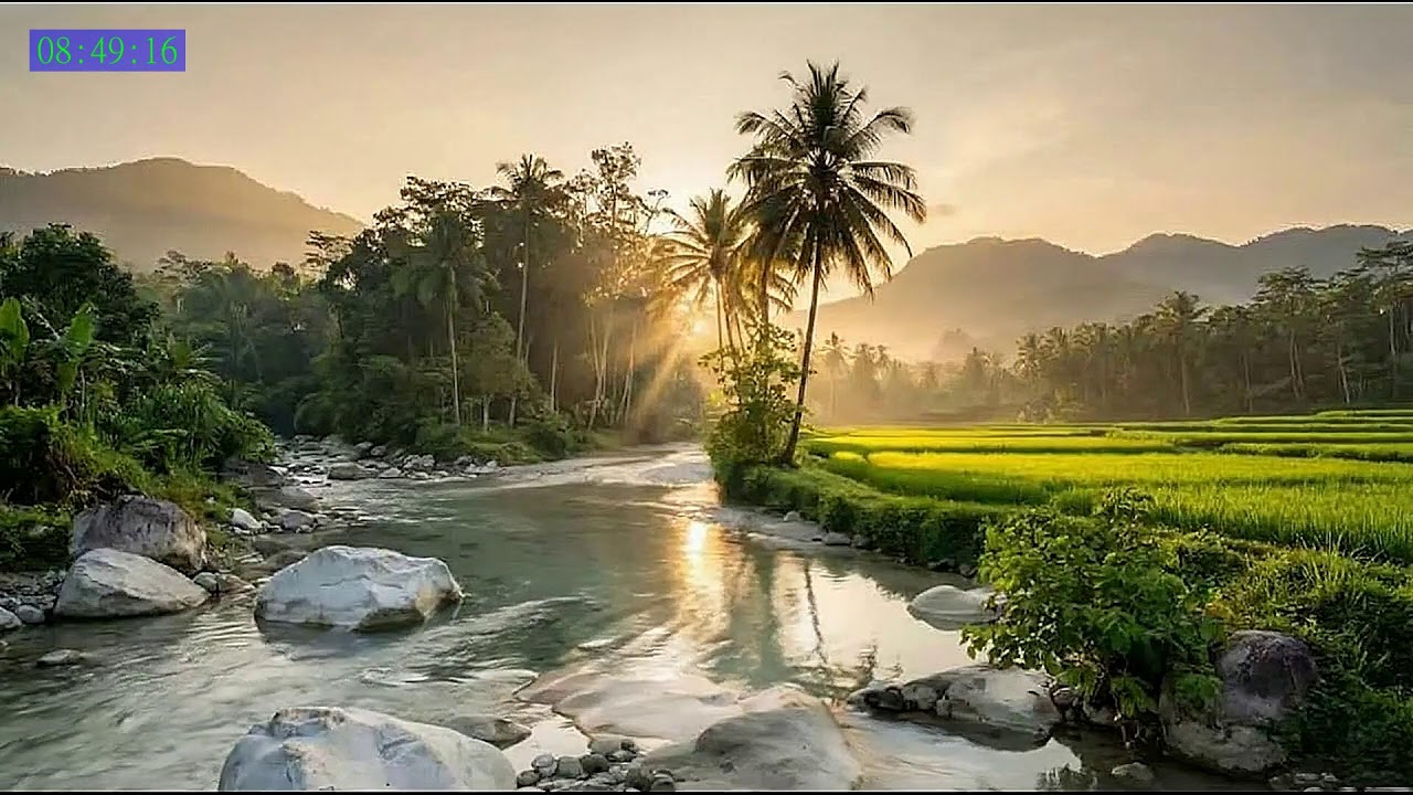 Peaceful Sleep Sounds to Relax the Mind Completely