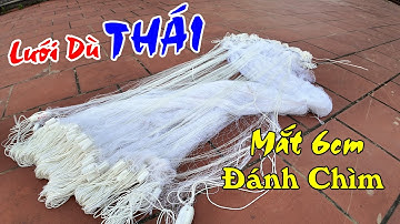 Lưới Dù Thái Cao 1m6 Mắt 6cm sợi 3 Dài 100m | Phao Xốp Ngón Tay Cái Dường Dù Đánh Chìm