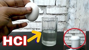 Amazing Experiment with Egg and HCl Acid