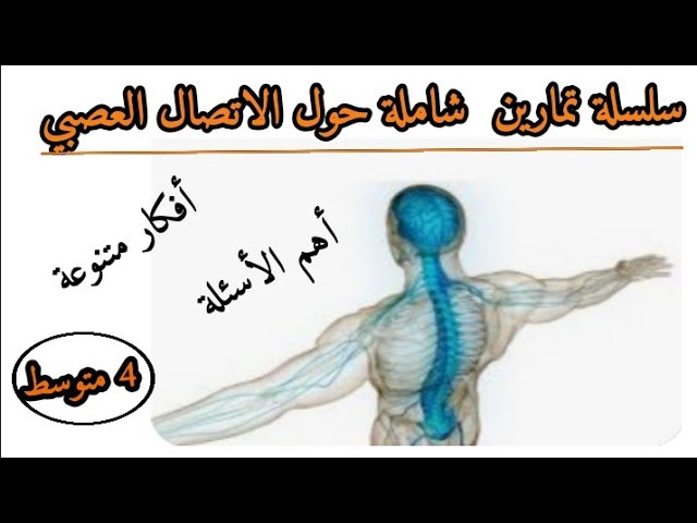 لتلاميذ البيام..أقوى سلسلة تمارين حول الاتصال العصبي.