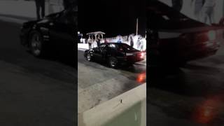 Mustang from hell !!!