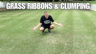 Grass Ribbons & Drainage Clumps | How I Handle Them