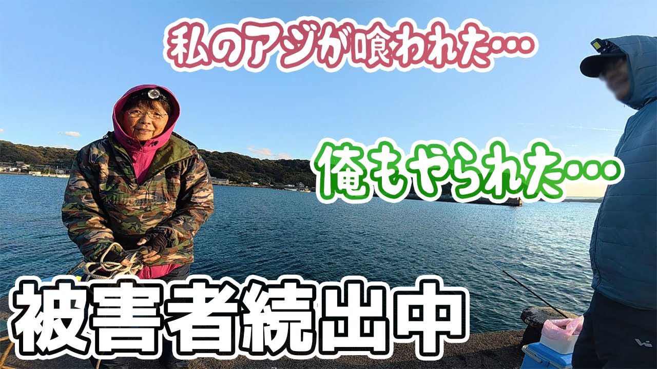 島の釣り人皆やられた？！アジの群れの下に潜む大物を釣りたい…