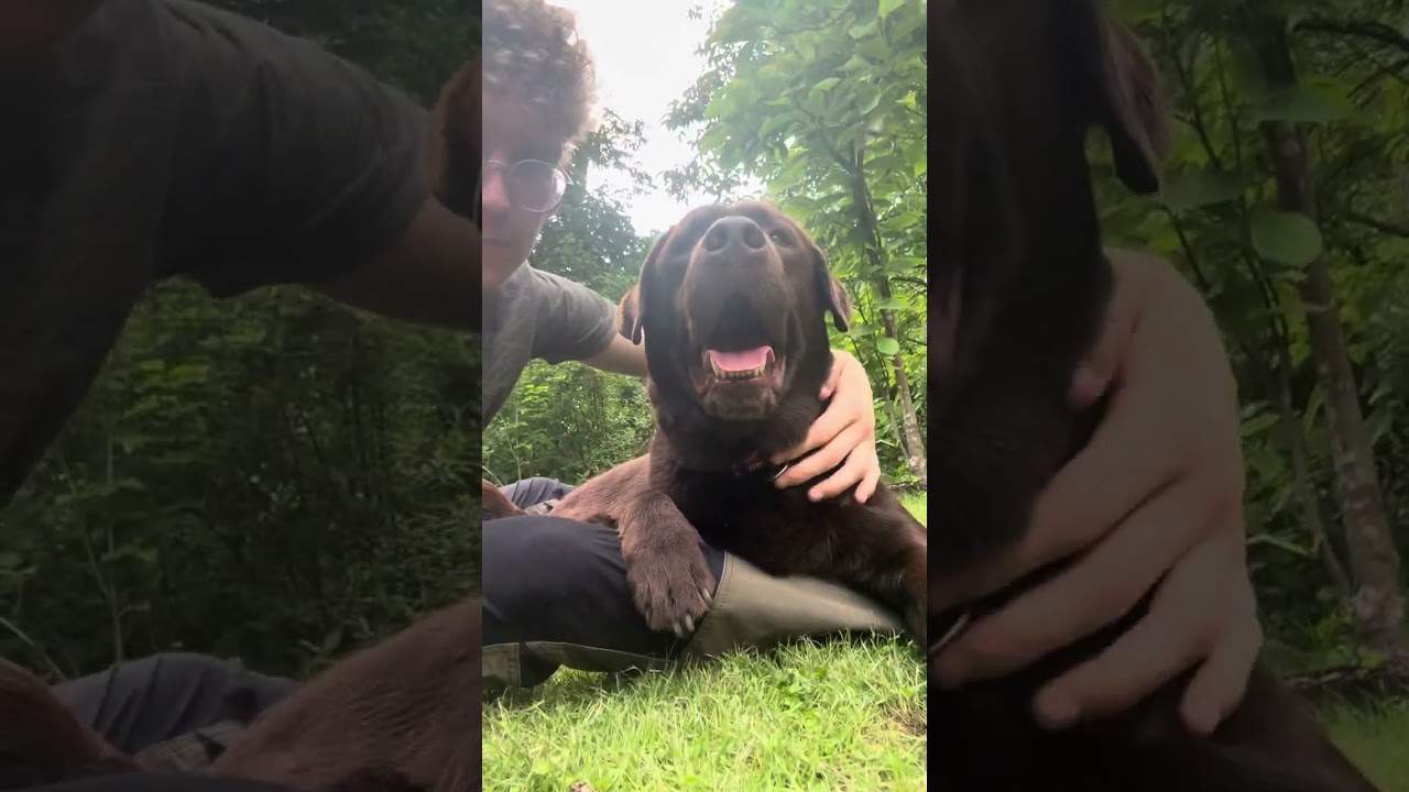 Cuddle time with dog