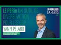 Les rdvexperts  le perin un outil de diversification pour les cgp par yann pelard