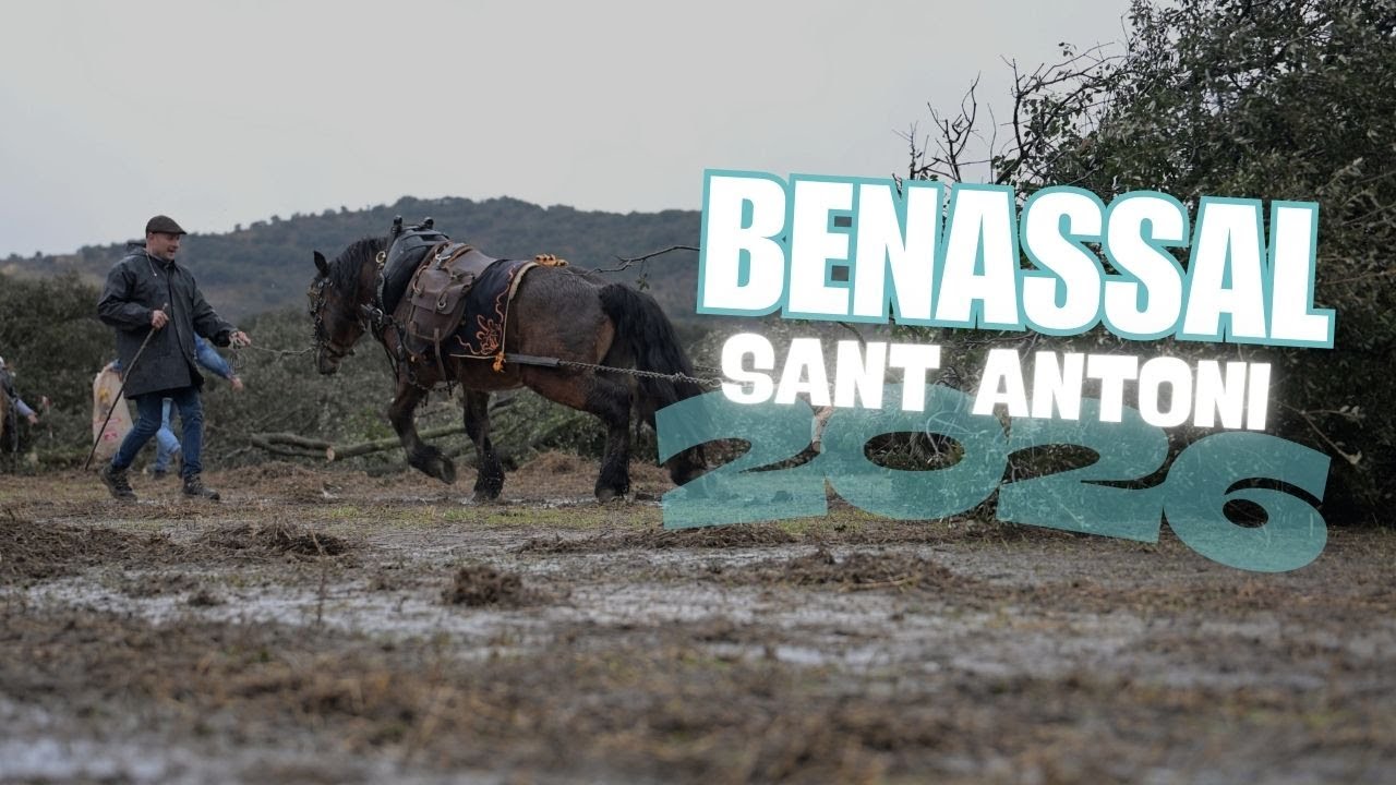 FESTIVITAT SANT ANTONI 2026