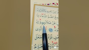 سورة الروم الأية 51 إلى 54 بصوت سعد الغامدي