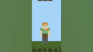 How to spawn NPC in Minecraft #shorts #minecraft #im_ayush_bhai