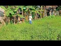 Main di kebun dan pinggir sungai saat cuaca cerah