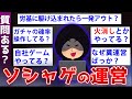 【2ch面白いスレ】セルラン上位のソシャゲ運営が2chに降臨した結果ww【ゆっくり解説】