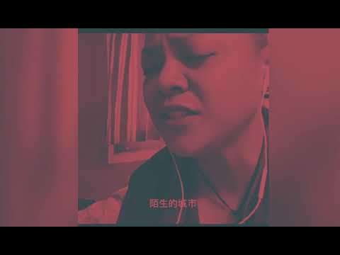 陌生的夜