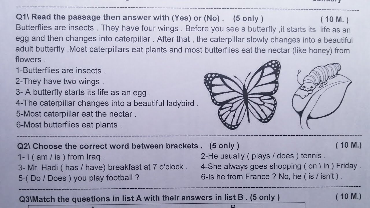 أسئلة إنكليزي خامس إبتدائي /نصف السنة /2025-2026
