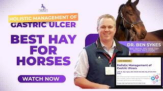 Best Hay for Horses: Rethinking Forage for Health