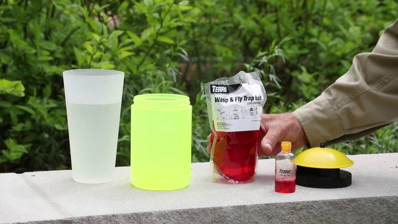 TERRO Wasp & Fly Trap Plus Fruit Fly – 1 Refill 