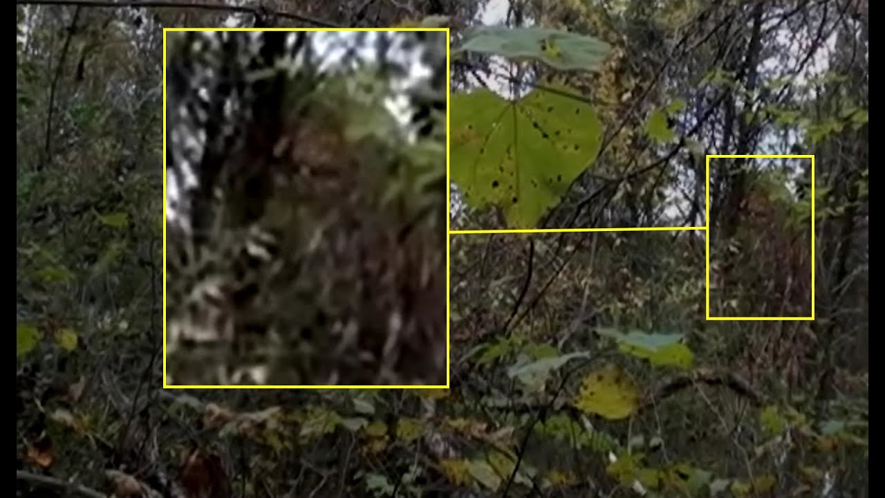 Mysterious Cloaked Subject