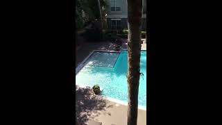 The Plaza Museum District A3 886 sqft Unit with a Pool View