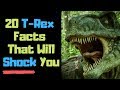 Tyrannosaurus Rex Quiz