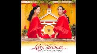Video thumbnail of "20080000 Las Carlotas A tu madre Sevillanas"