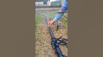 Lắp béc xòe 360 tưới gốc giá rẻ dễ lắp thi công nhanh hiệu quả cao #becxoephunmua #becphunmua