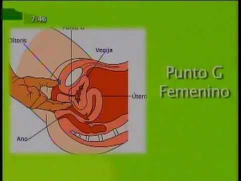 Posiciones de sexualidad hombre y mujer galleries 223
