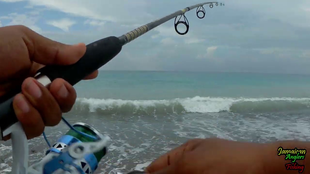 Out fished by my bro, THE CAPTAIN (Surf fishing Jamaica 🇯🇲) YouTube
