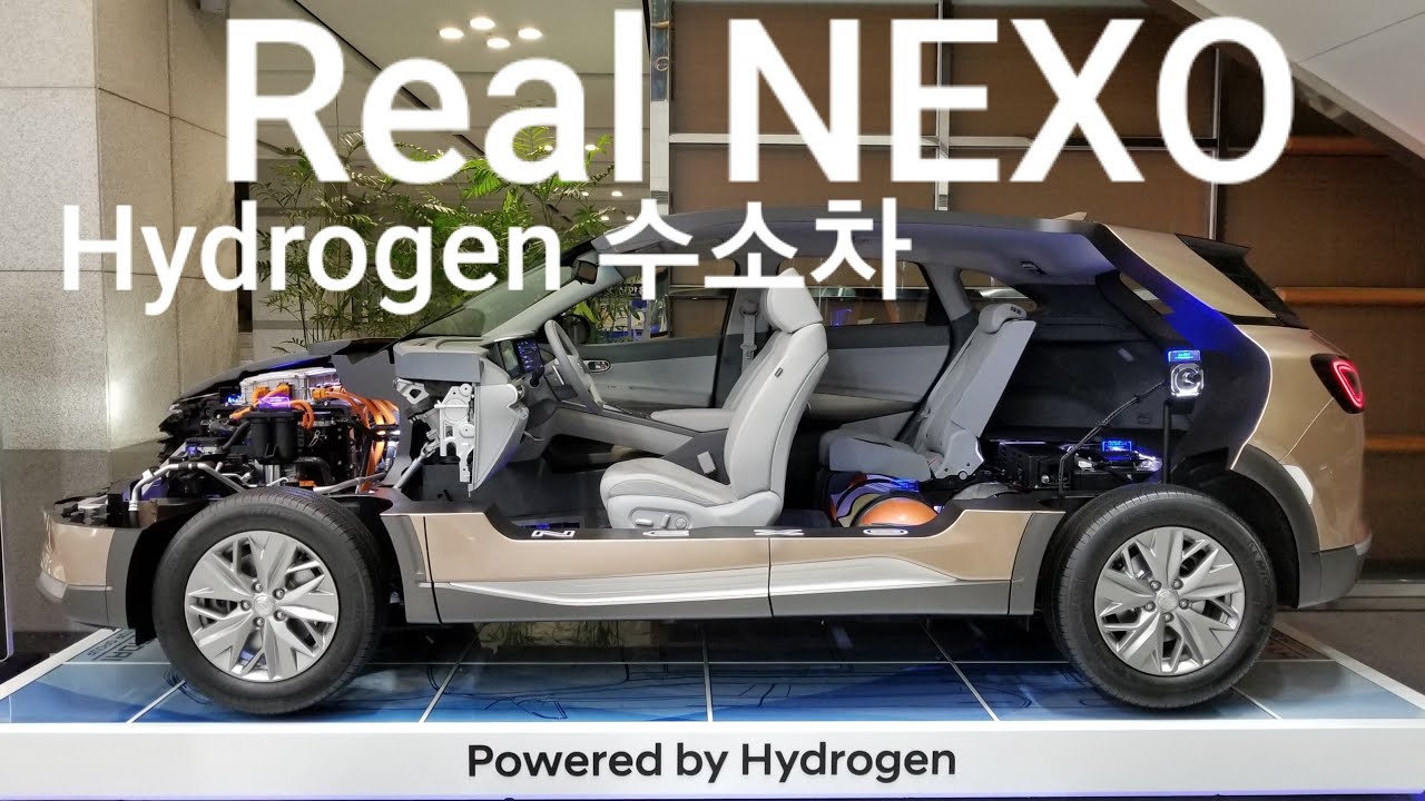 대한민국 수소차 넥쏘, 그 속을 보여드립니다 절개된 넥쏘 영상 찍었어요 | Hyundai Hydrogen Car NEXO ...