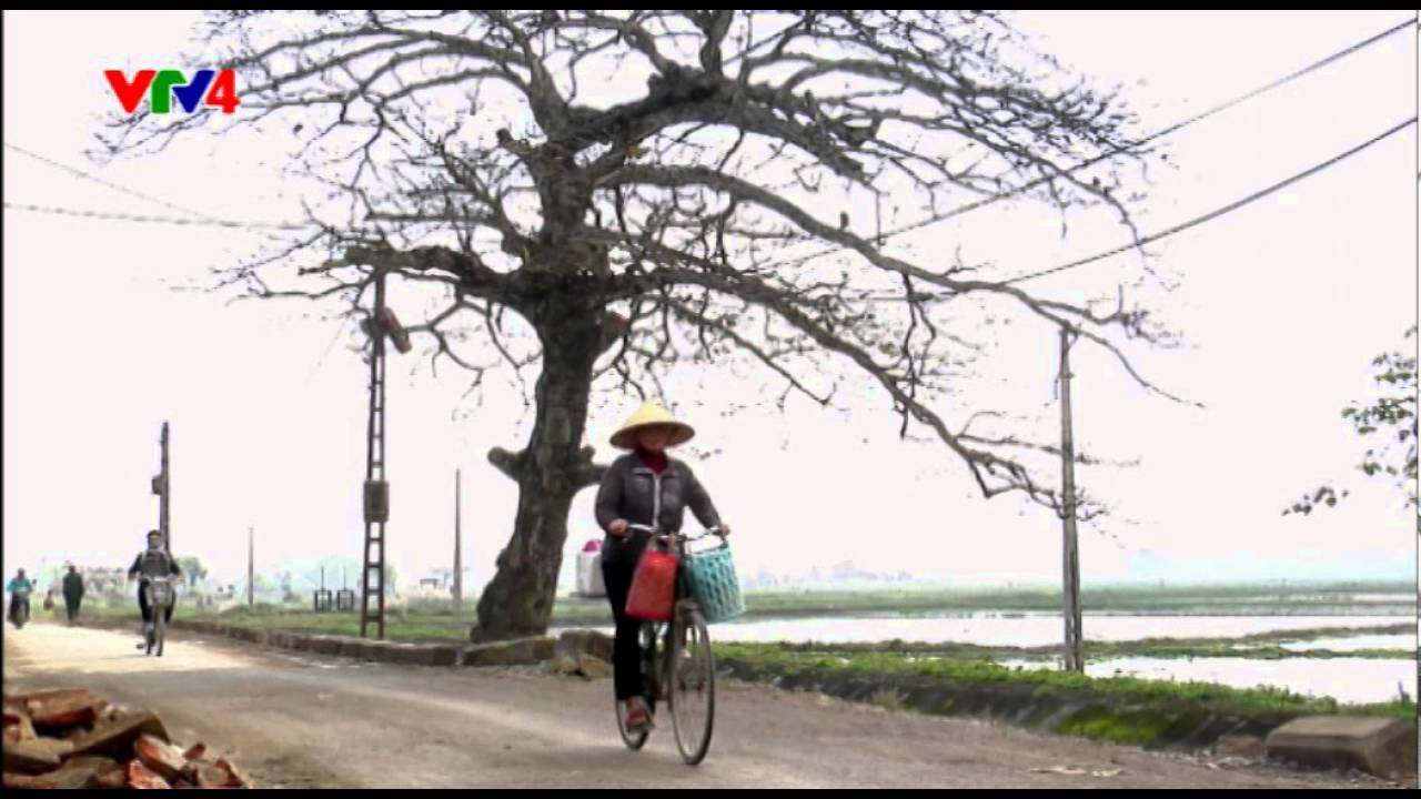 Bánh đa làng Minh Châu