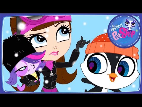 Мультик Маленький Зоомагазин. Для кого зимнее веселье?!