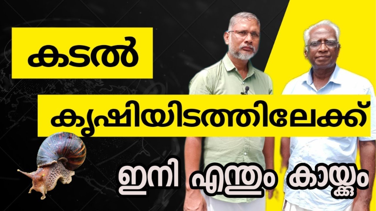 കിണർ വെള്ളം ശുദ്ധ മാക്കാം കുറഞ്ഞ ചിലവിൽ 