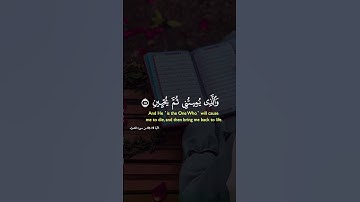 تلاوة خاشعة ❤️#المصحف #قرآن #لايك #قران_كريم #تلاوة_خاشعة #explore #اكسبلور