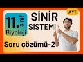 Sinir Sistemi Soru Çözümleri-2 | Nöronun Yapısı - Beyin - Omurilik | AYT Biyoloji 