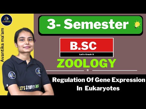 Regulation Of Gene Expression In Eukaryotes | B.Sc. Zoology 3rd Semester | Avantika Ma'am |