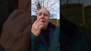 Chippy Al Optimal Nutrition