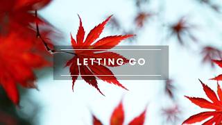 Letting Go | Choosing your inner peace