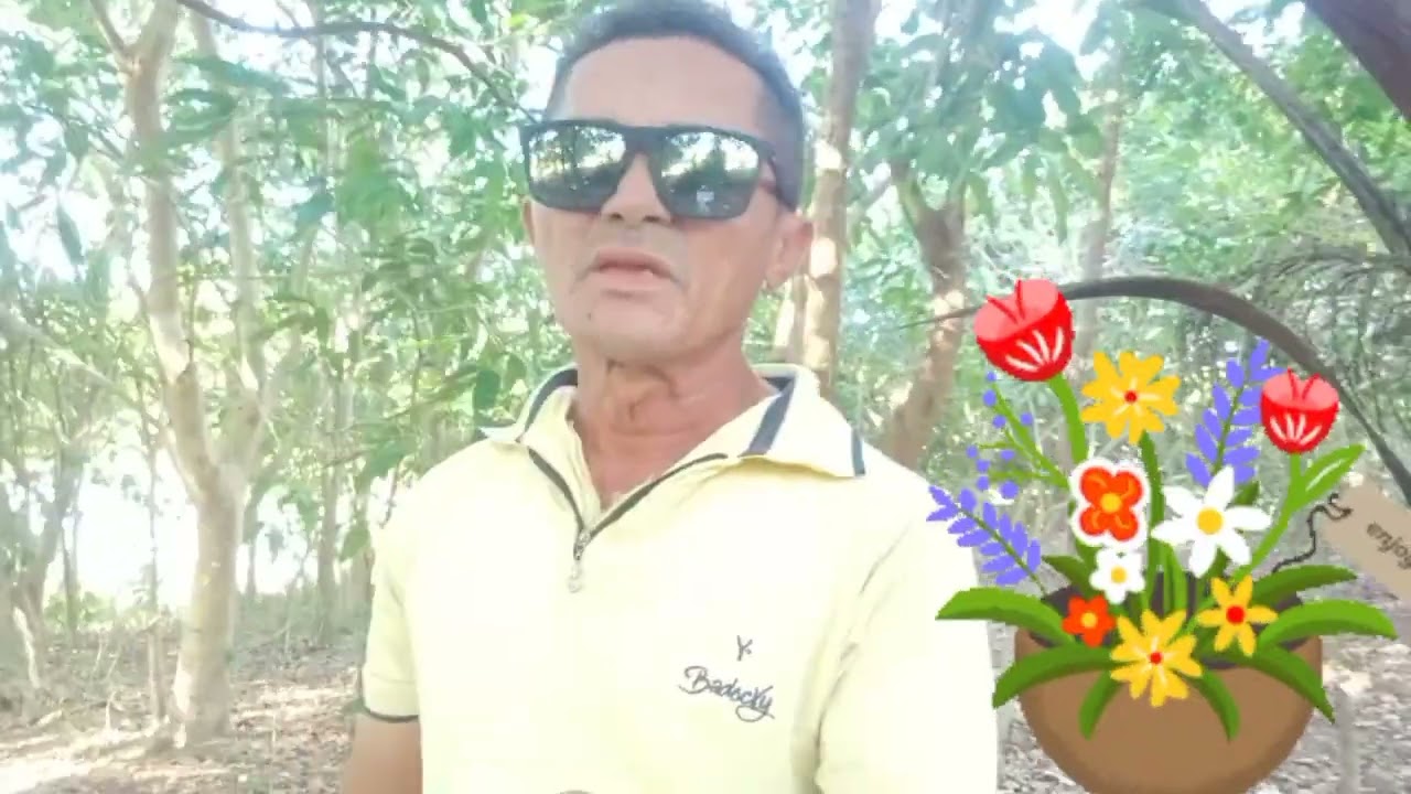 14 de fevereiro de 2026