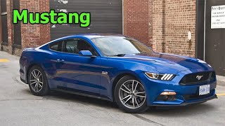 Ford Mustang (2017) Chassis Vin Number Location