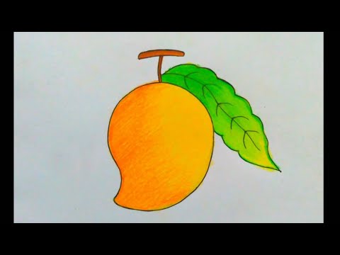 Easy drawings - How to Draw a Mango for Kids - YouTube