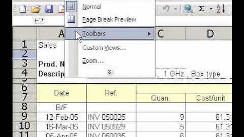 Microsoft Office Excel 2003 Display a custom view